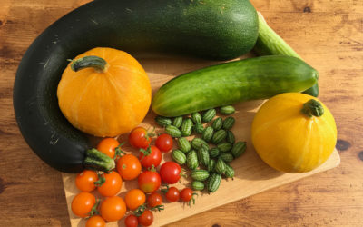 Harvest Thanksgiving Service