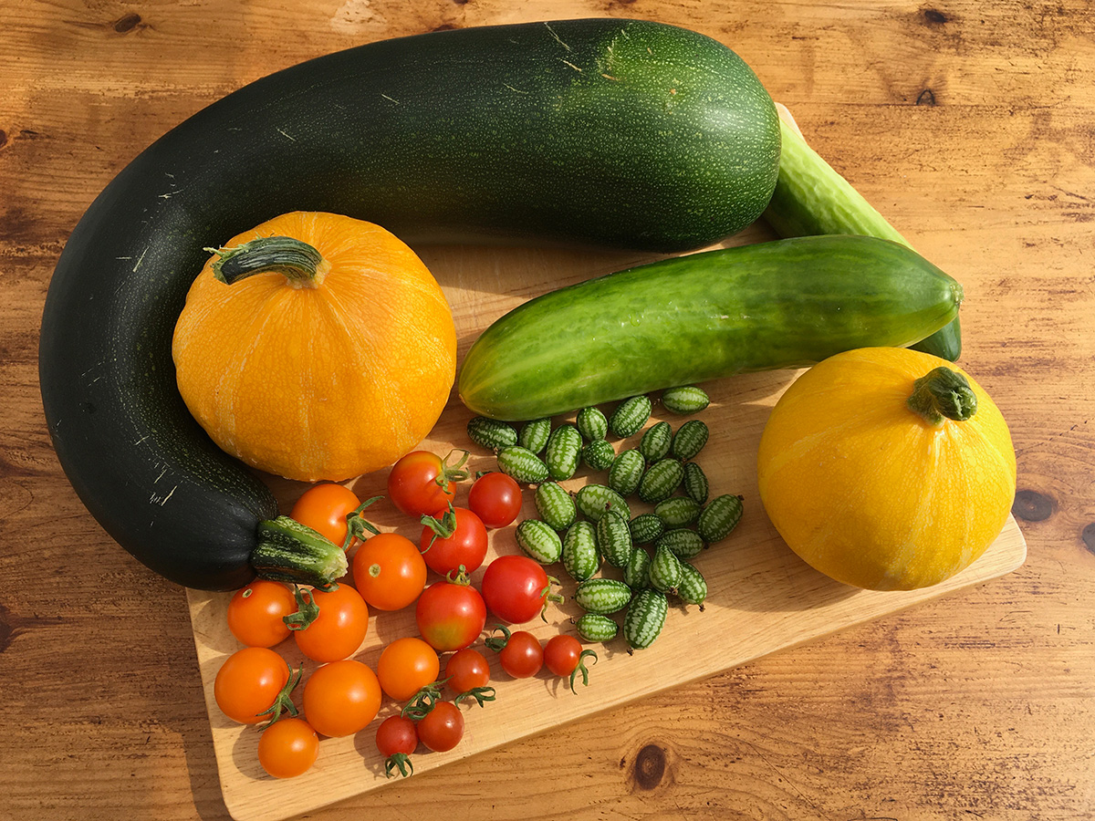 garden produce