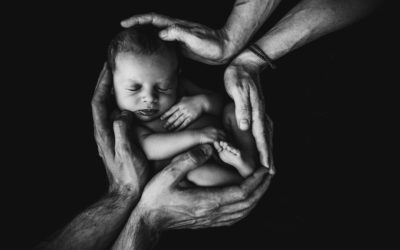 Hymn for December 2025