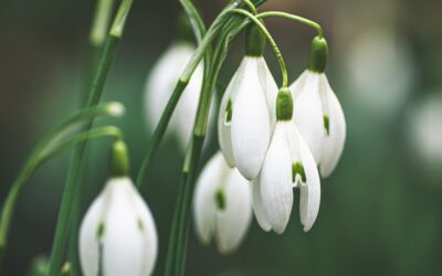 Thought for February 2026