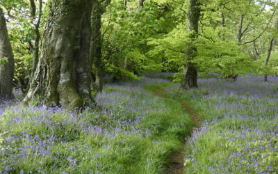 Services in April, May and June