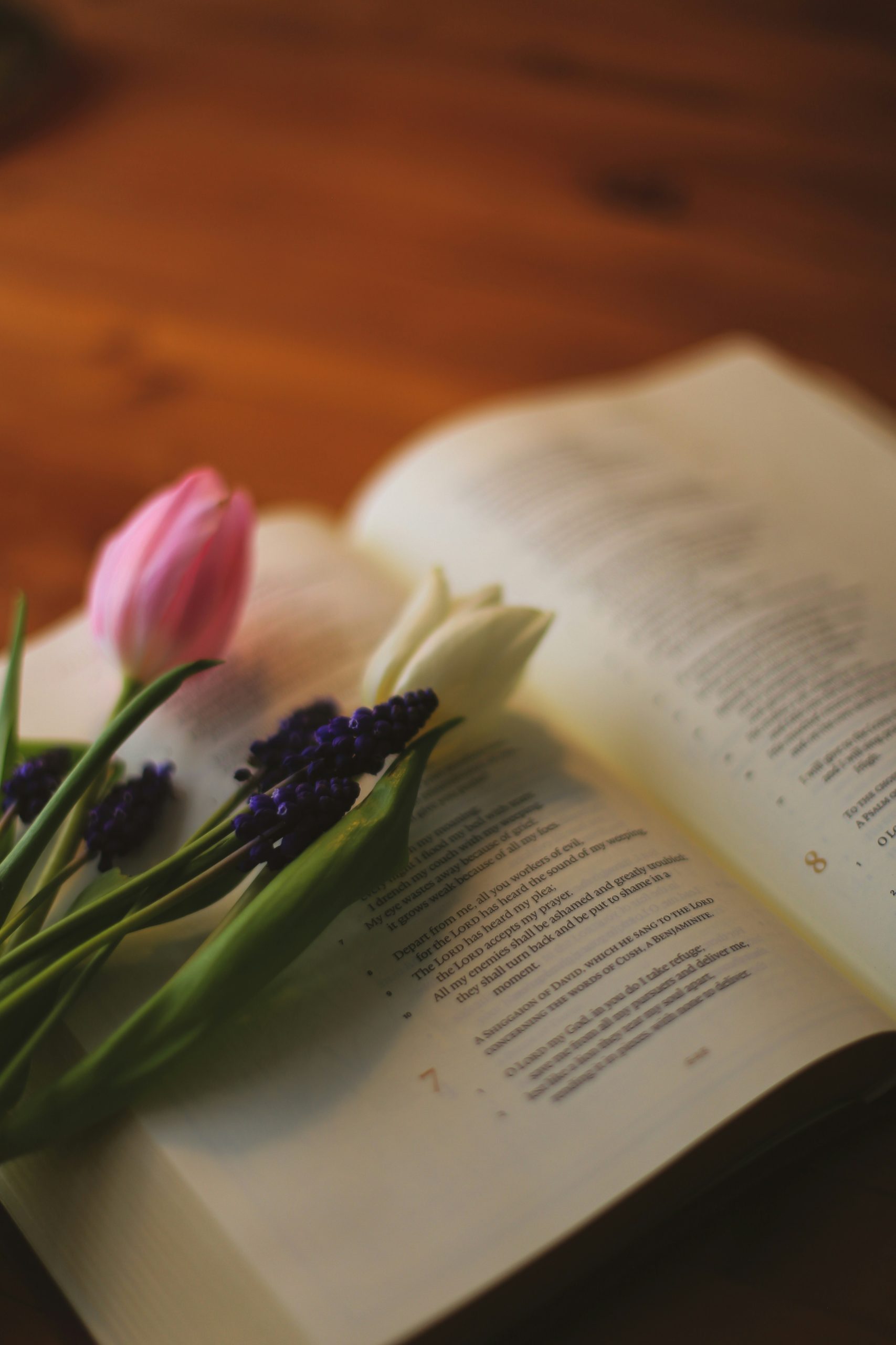Spring Flowers on a Bible