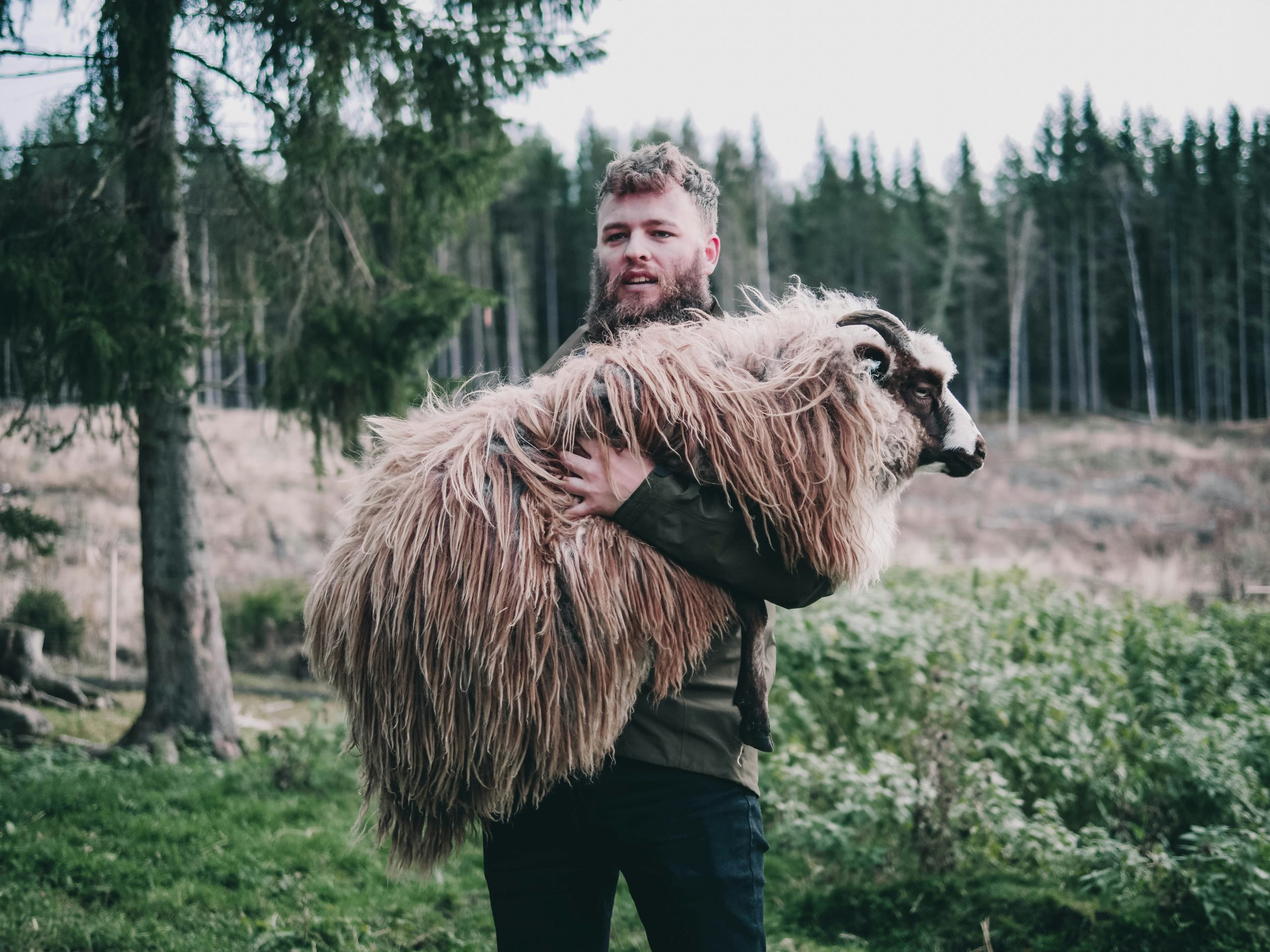 Man carrying sheep